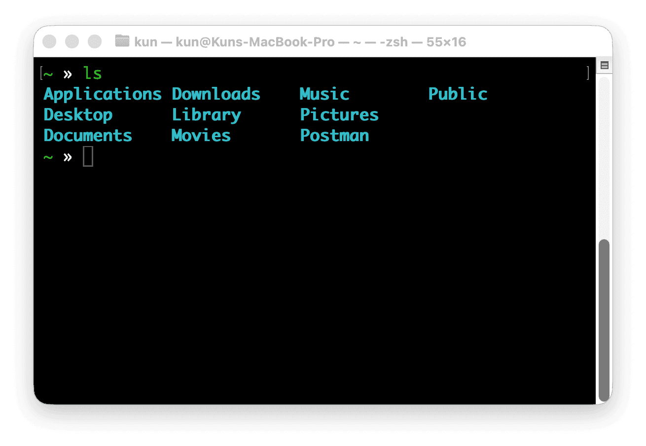 可以看到我輸入 ls 後，就顯示目前資料夾裡的所有內容